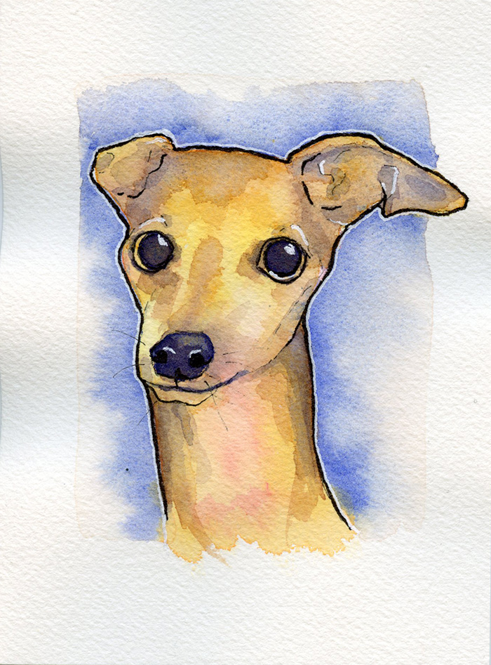 Watercolor painting of Cara the Italian Greyhound