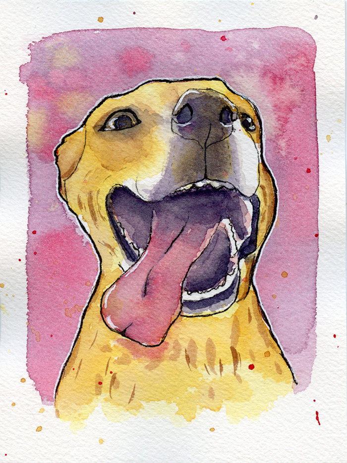Watercolor painting of Daphne the pitbull mix