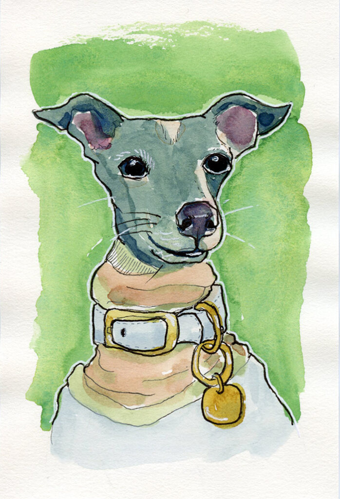 Watercolor painting of Italian Greyhound