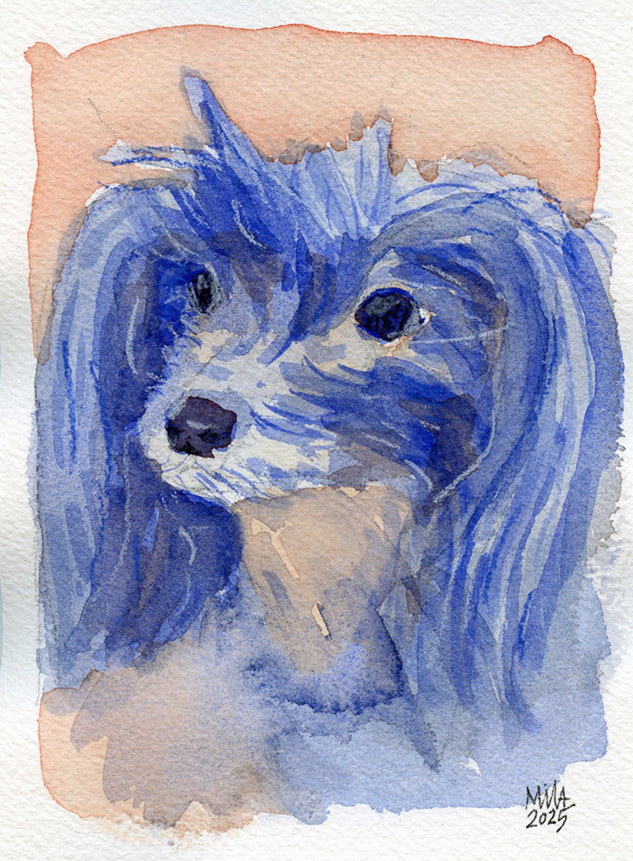 Watercolor Painting of Chinese Crested Dog
