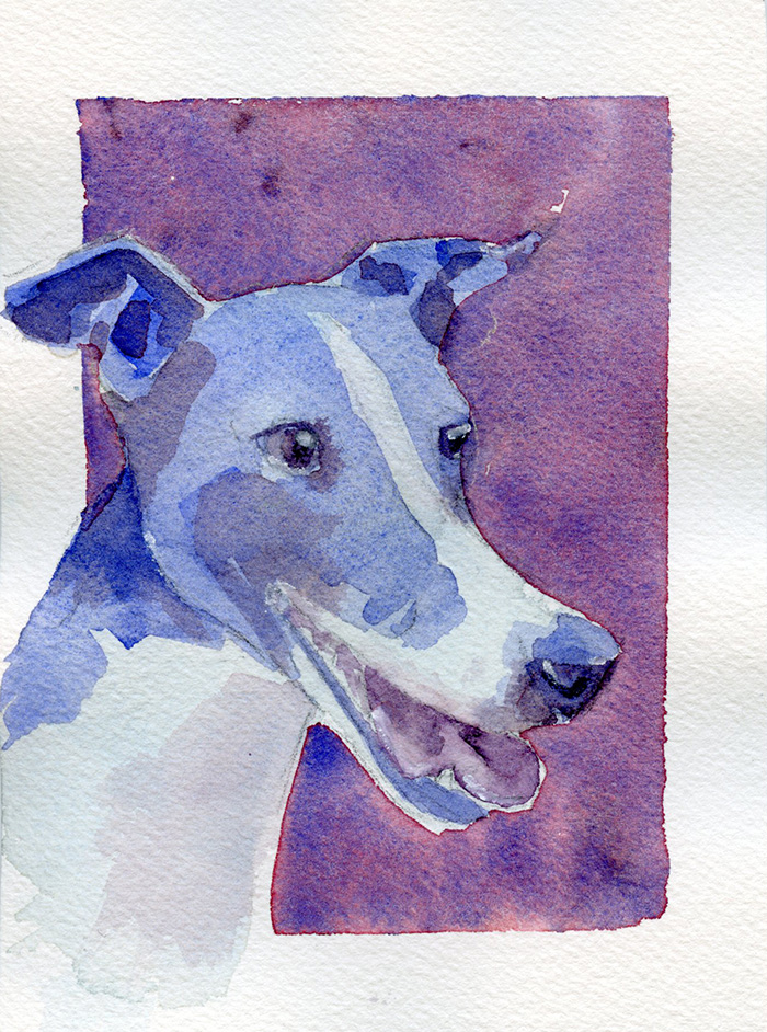 Watercolor painting of an Italian Greyhound