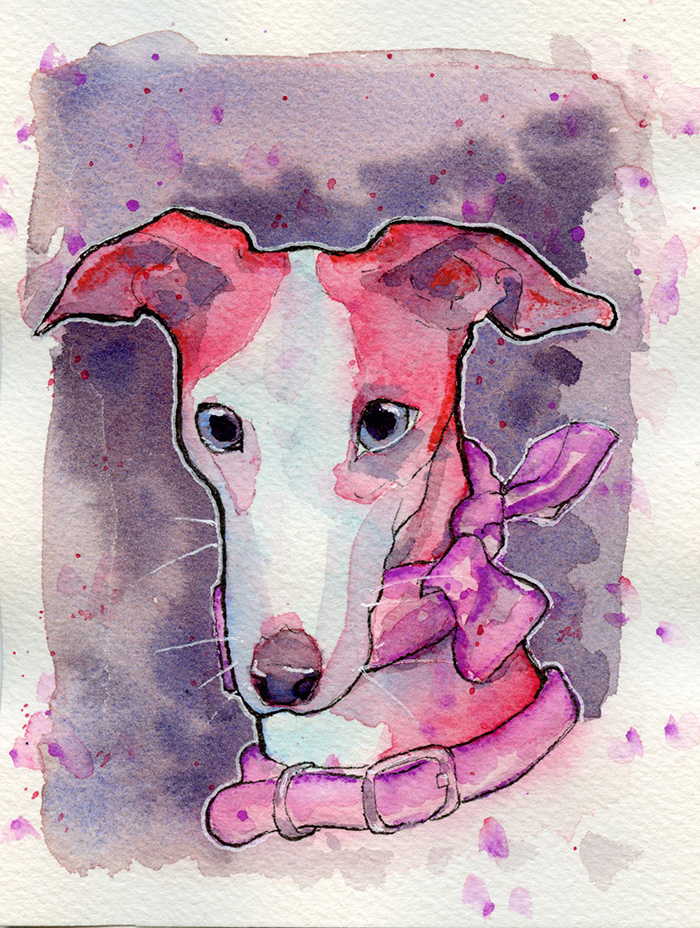Watercolor painting of Italian Greyhound