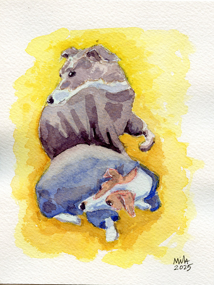 watercolor painting of two Italian Greyhounds